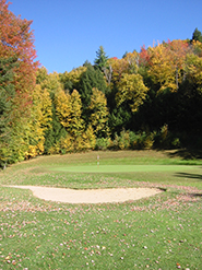 Our 12th Green in fall!